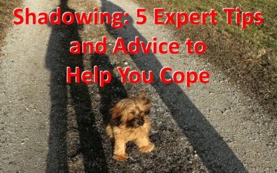 Shadowing: 5 Expert Tips and Advice to Help You Cope