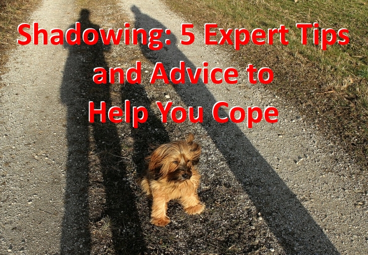 Shadowing: 5 Expert Tips and Advice to Help You Cope